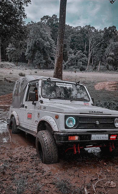 在历届奥运 在历届奥运