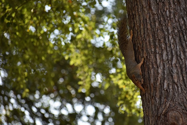 悬念与精彩 悬念与精彩